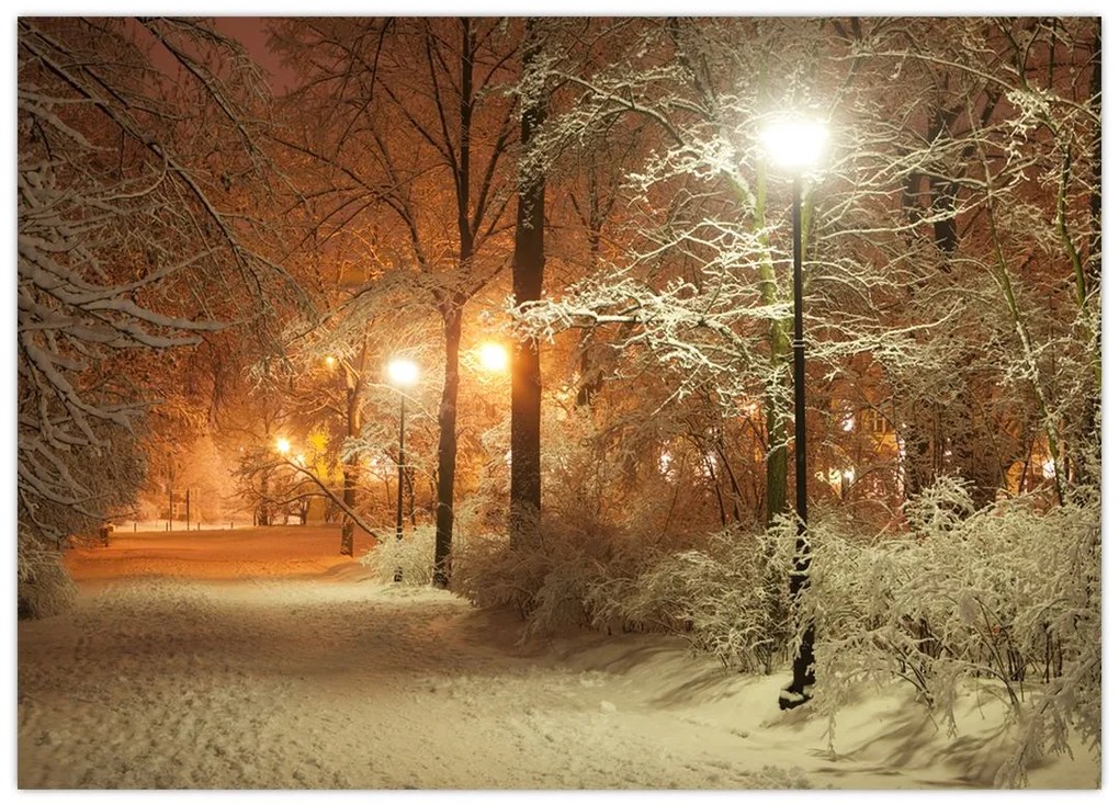 Obraz - Zaśnieżony park (70x50 cm)