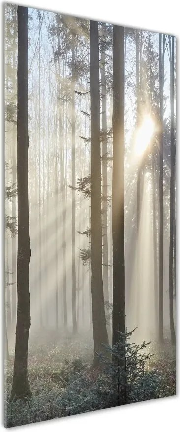 Foto obraz szkło hartowane pionowy Mgła w lesie