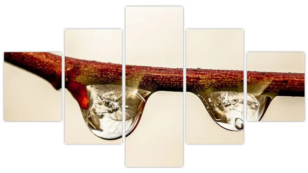 Obraz kropli na gałęzi (125x70 cm)