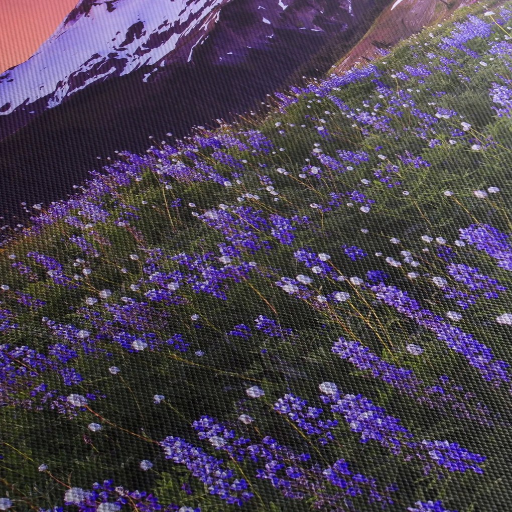 Obraz - Wulkan i kwiaty (z zegarem) (90x30 cm)