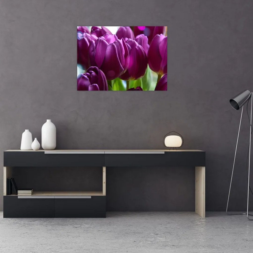 Obraz na szkle - tulipanów (70x50 cm)