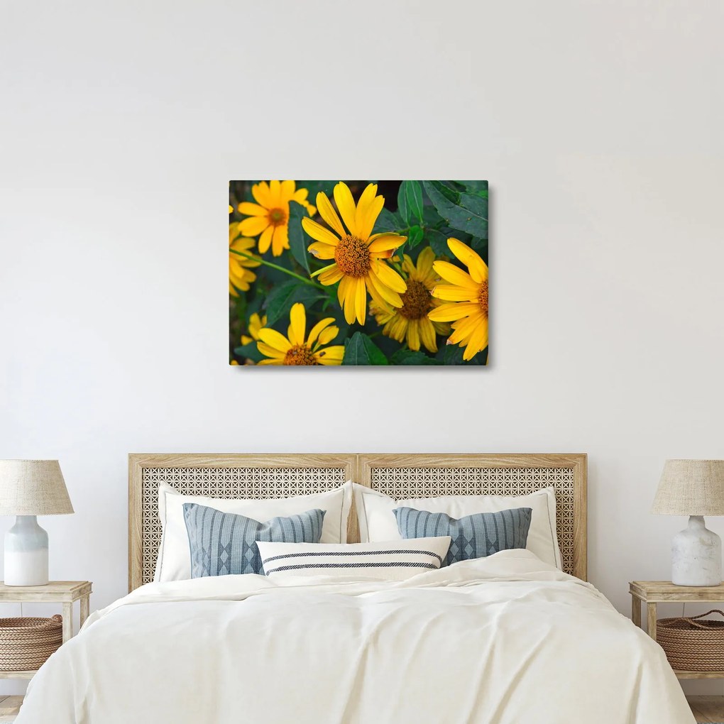 Obraz żółtych kwiatów (70x50 cm)