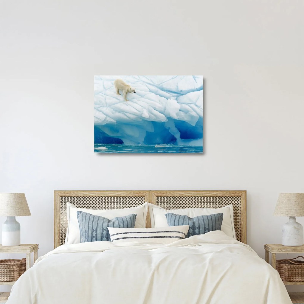 Obraz na szkle - Niedźwiedź polarny (70x50 cm)