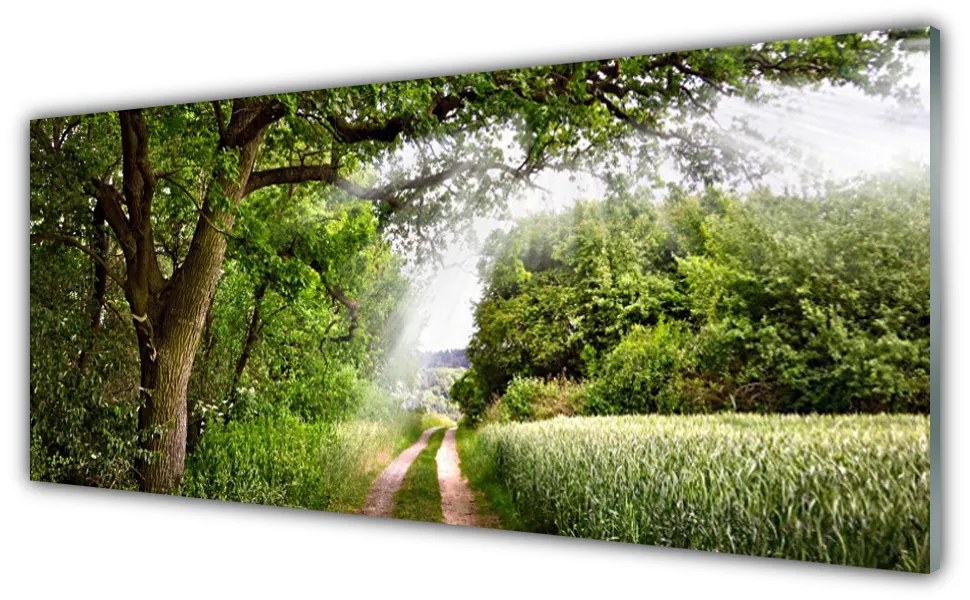 Panel Szklany Drzewa Ścieżka Natura