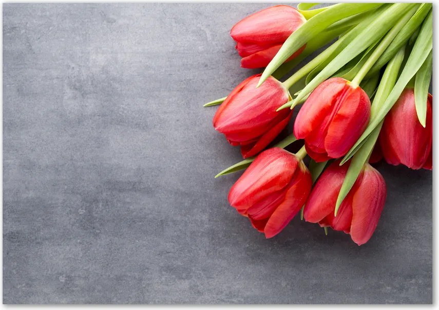 Foto obraz szklany Czerwone tulipany