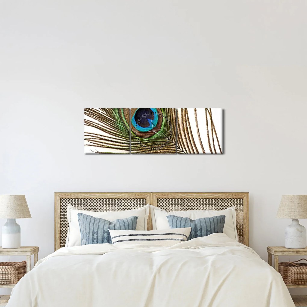 Obraz pawich piór (z zegarem) (90x30 cm)