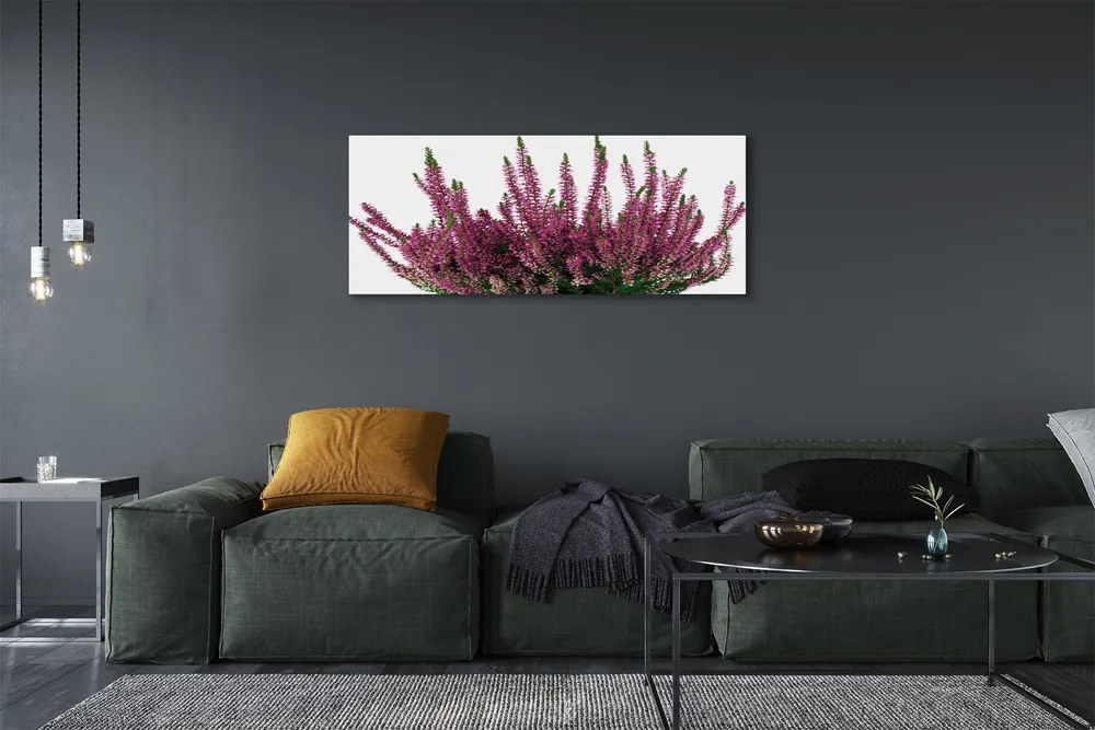 Duży obraz na płótnie Wrzosy