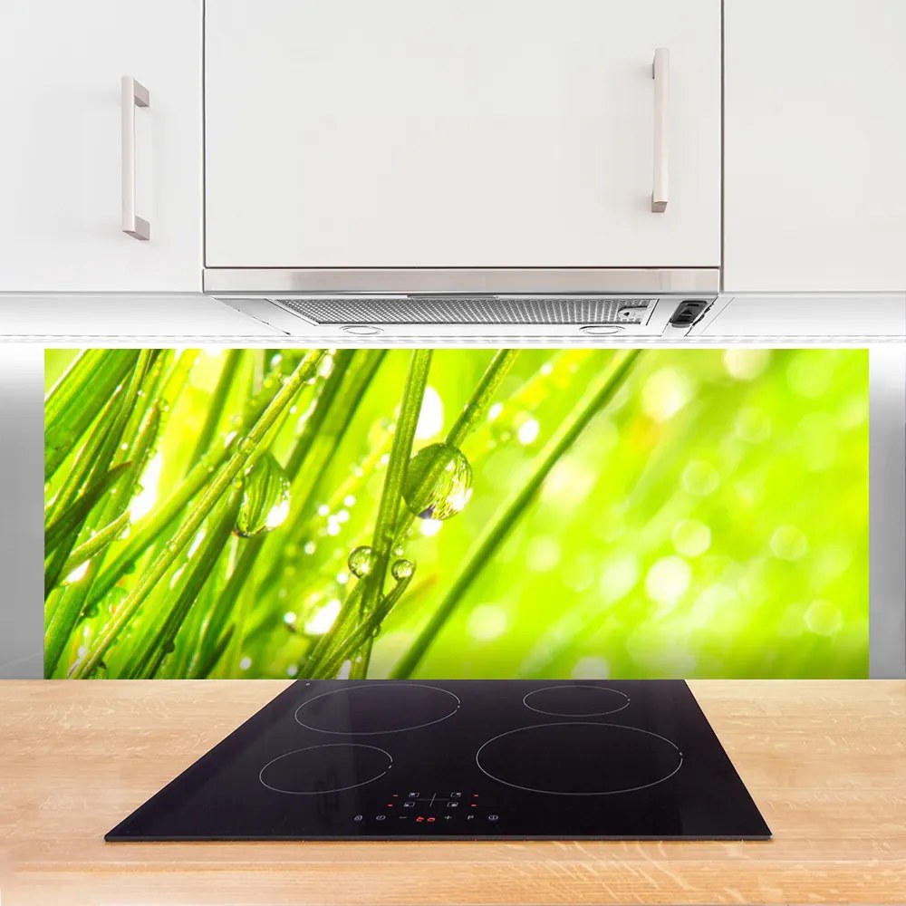 Panel Szklany Świeżość Porannej Rosy