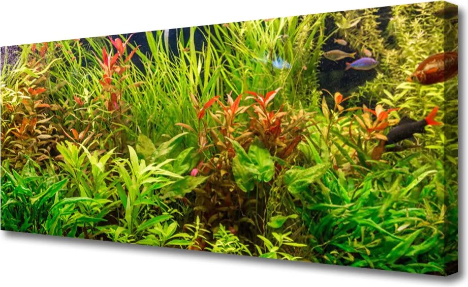 Zdjęcie na płótnie Podwodny Świat Akwarium