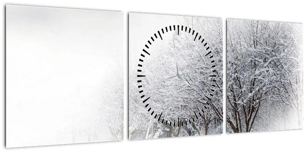 Obraz - Zimowa aleja (z zegarem) (90x30 cm)