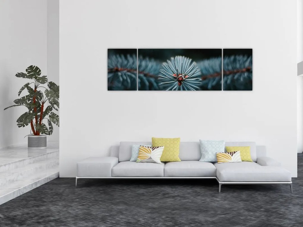 Obraz gałązki drzewa iglastego (170x50 cm)