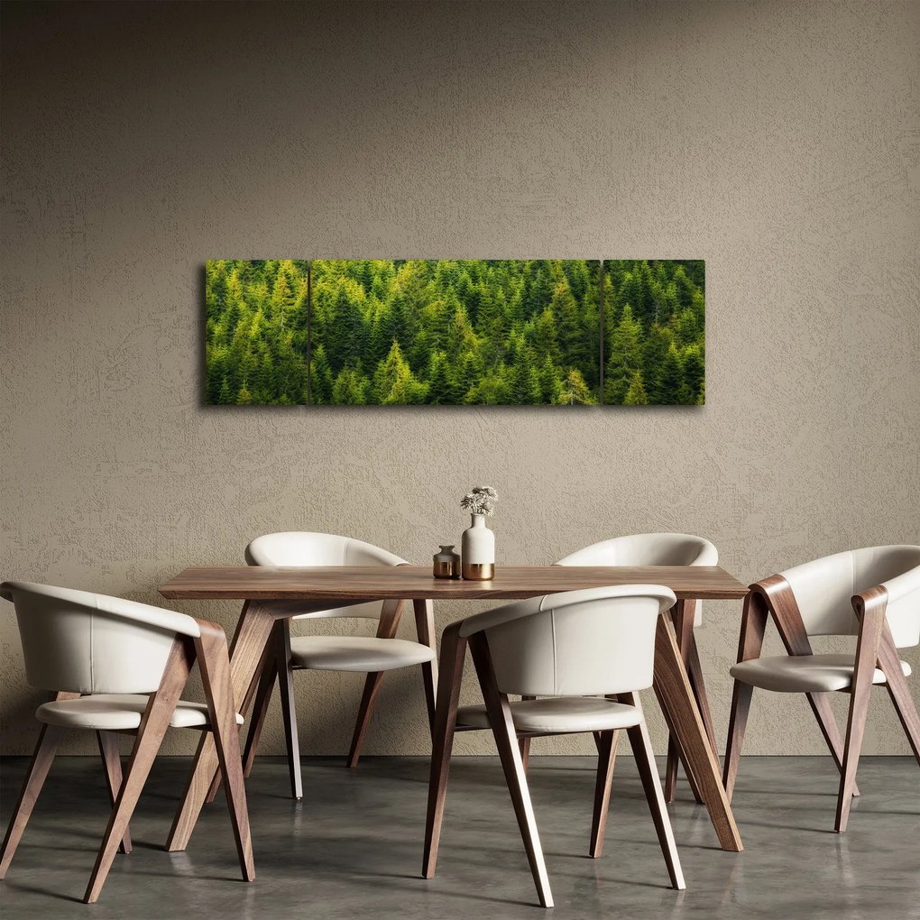Obraz - Gęsty las (170x50 cm)