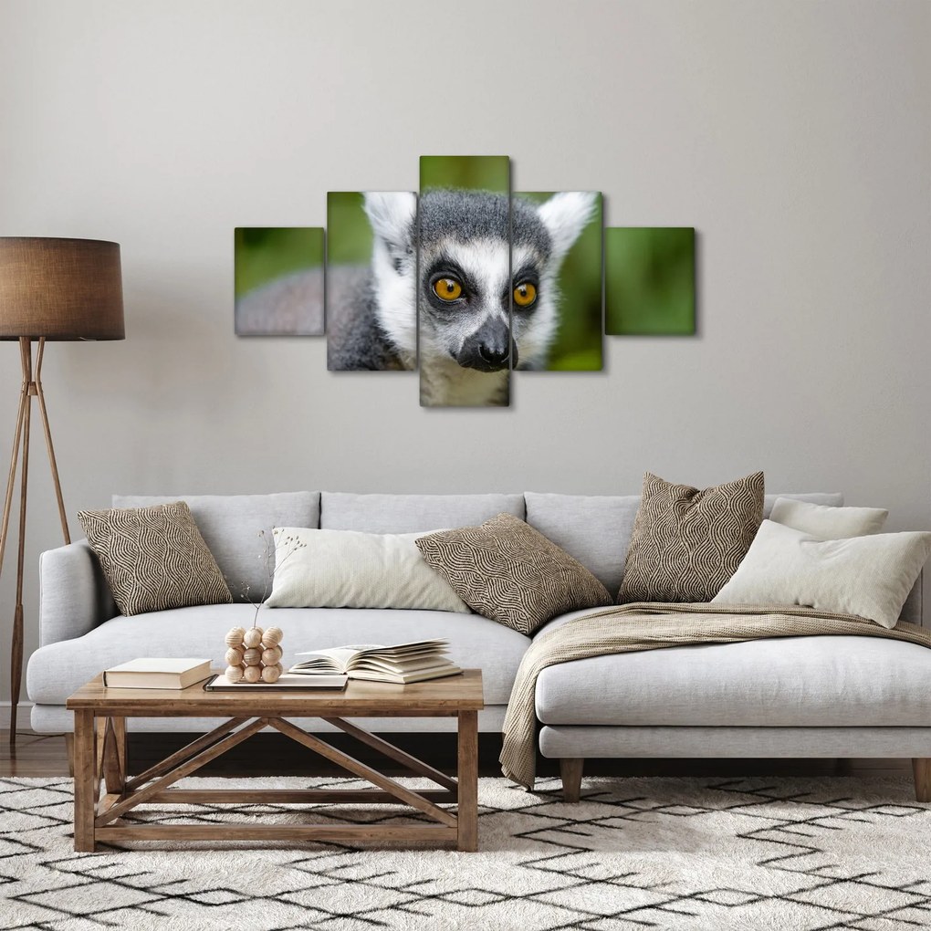 Obraz lemura (125x70 cm)