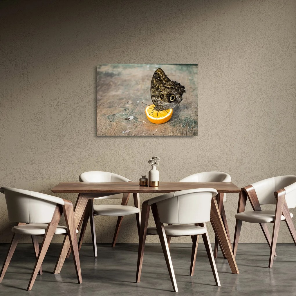 Obraz na szkle - motyl (70x50 cm)