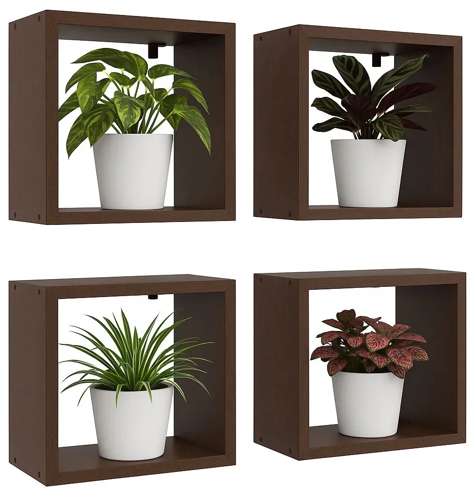 Kwadratowe półki wiszące na kwiaty wenge Z2-G98