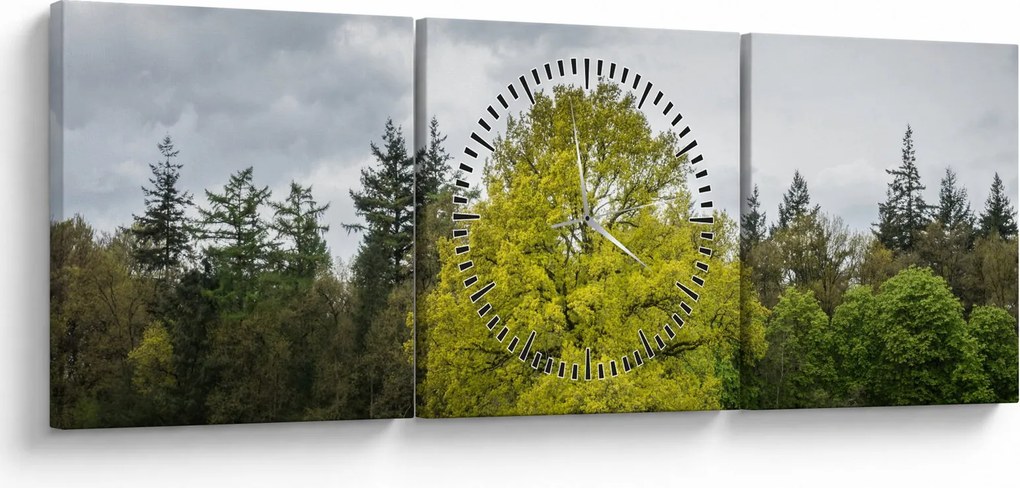 Obraz zielonego drzewa na środku pola (z zegarem) (90x30 cm)