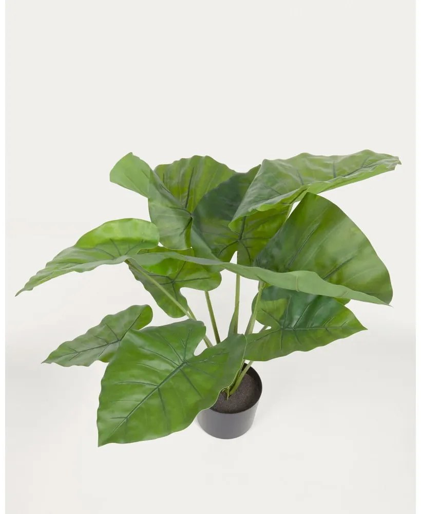 Sztuczna roślina (wysokość 57 cm) Odora – Kave Home