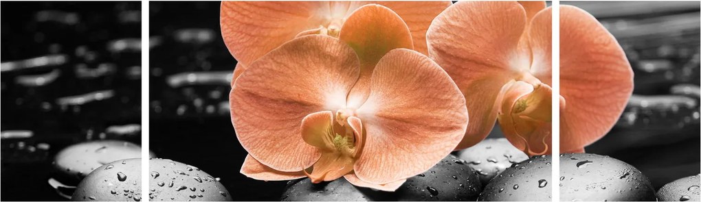 Obraz - Pomarańczowe orchidee (170x50 cm)