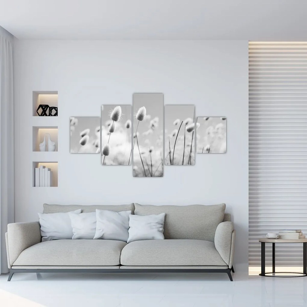 Obraz - Trawa z ogonkiem króliczka Boho (125x70 cm)