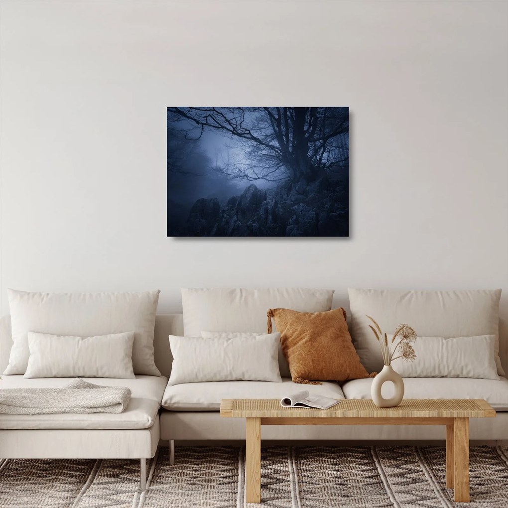 Obraz na szkle ciemnego lasu (70x50 cm)