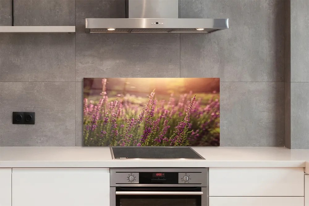 Szkło do Kuchni na Ścianę Rozległe Pole Wrzosów