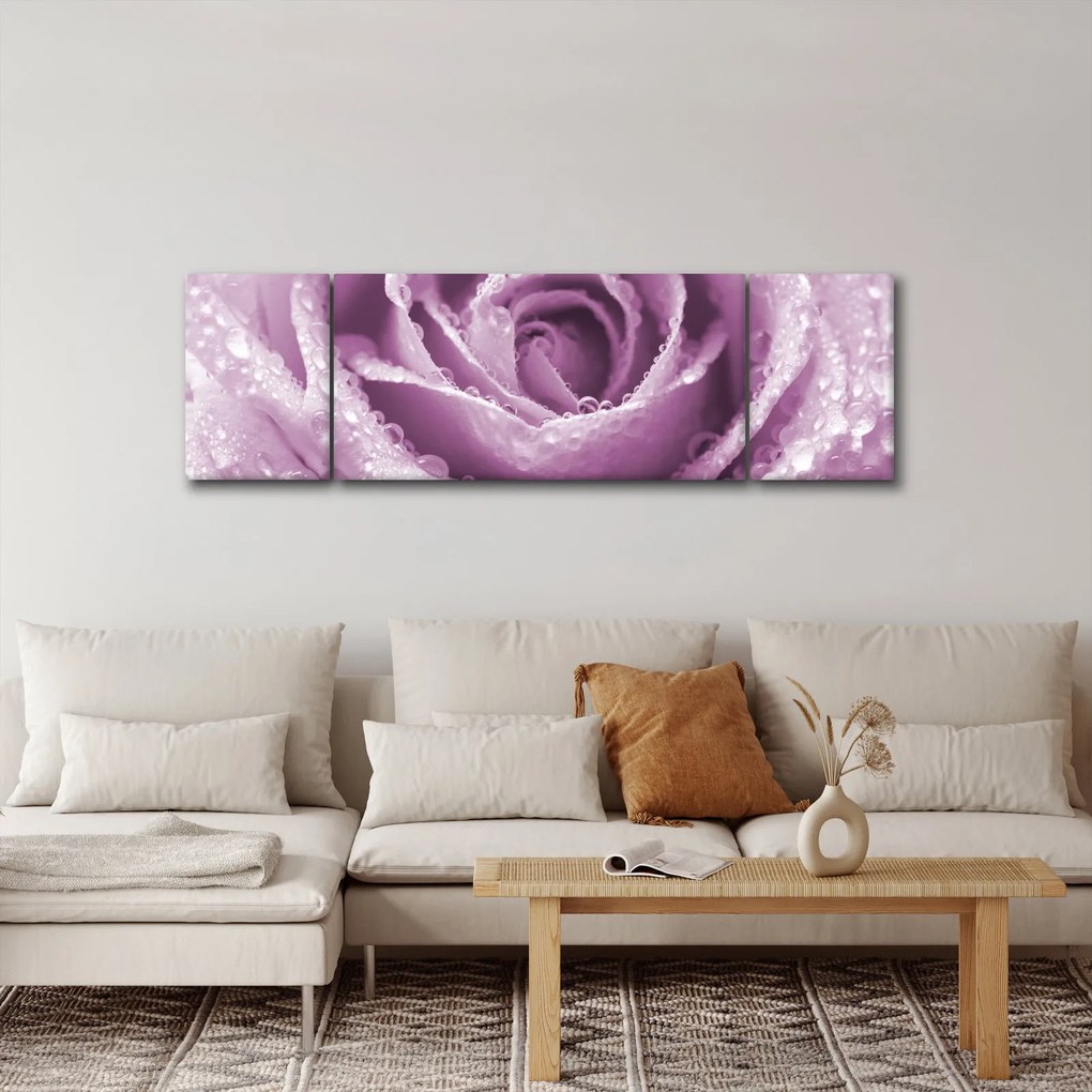 Obraz szczegółu kwiatu róży (170x50 cm)
