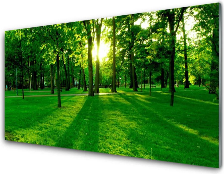 Panel Kuchenny Spokojna Aleja W Parku