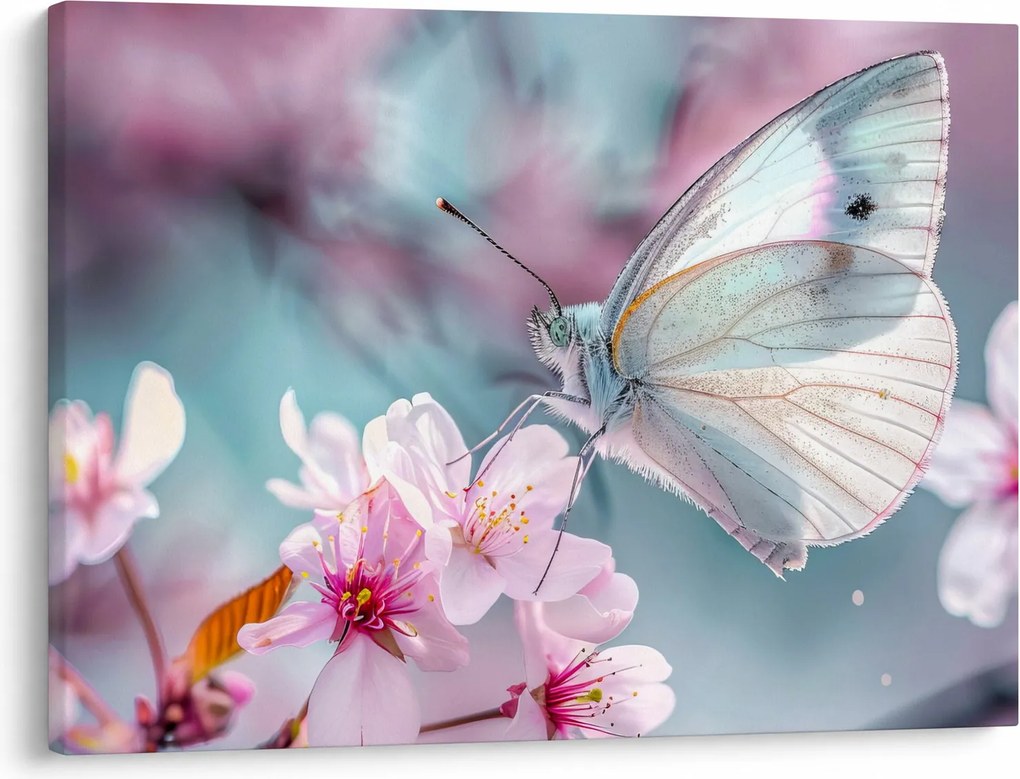 Obraz - Motyl na drzewie wiśni (70x50 cm)