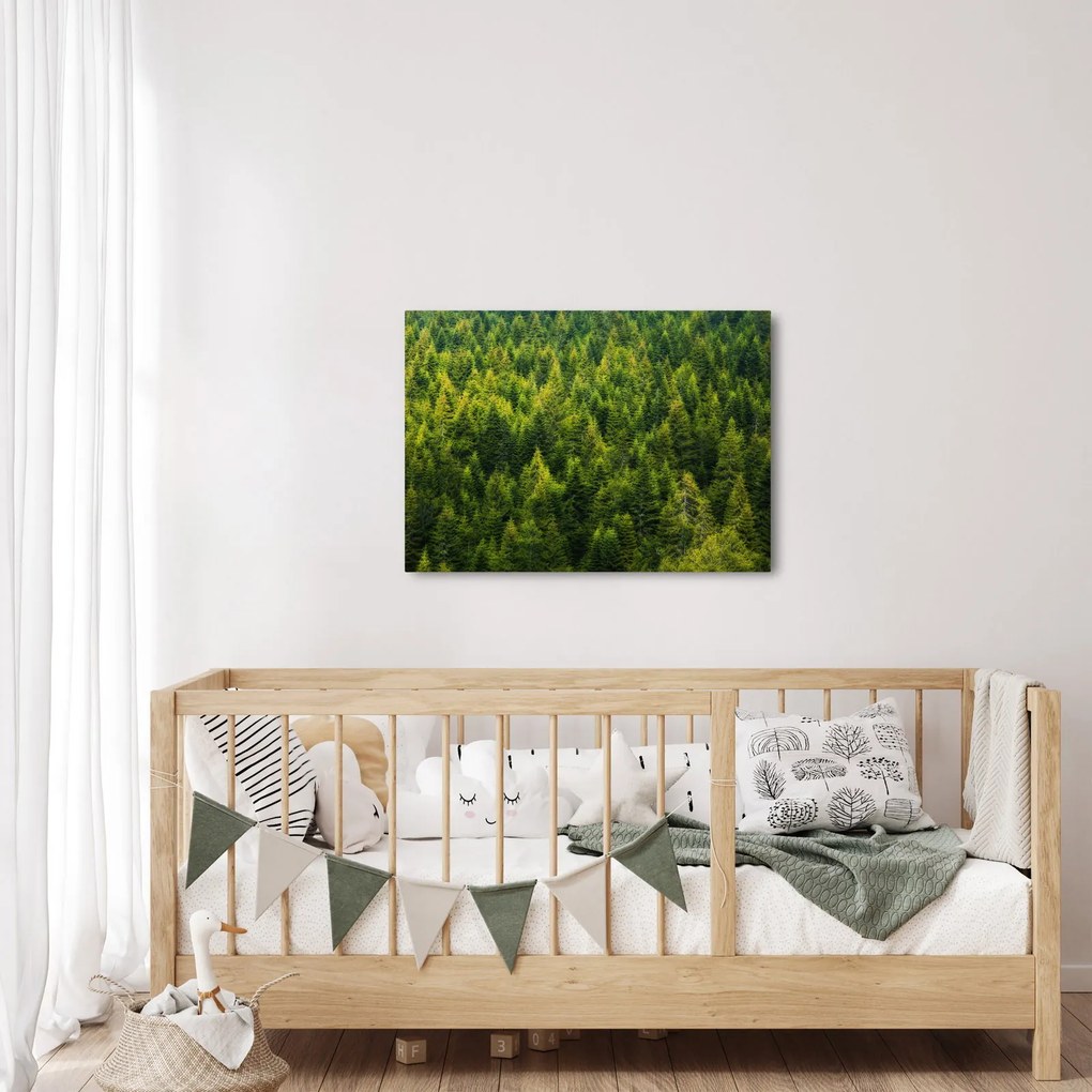 Obraz - Gęsty las (70x50 cm)