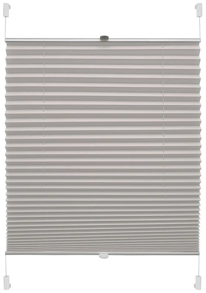Szara roleta 57x150 cm Plisé Verona – Gardinia