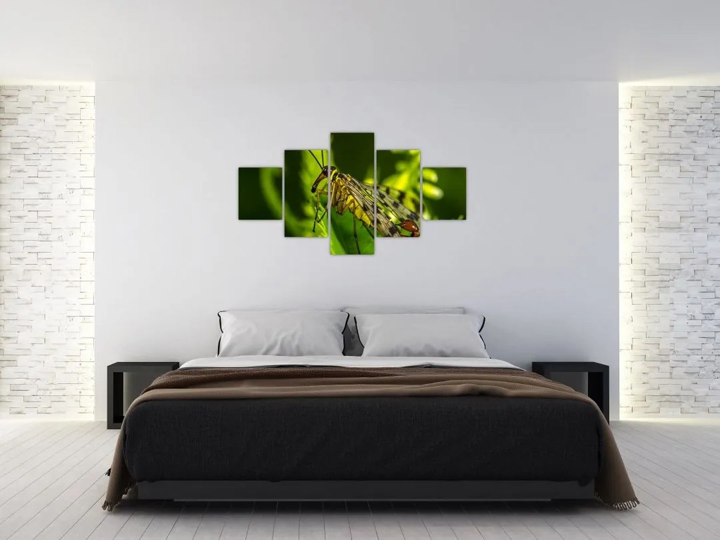 Obraz owada (125x70 cm)
