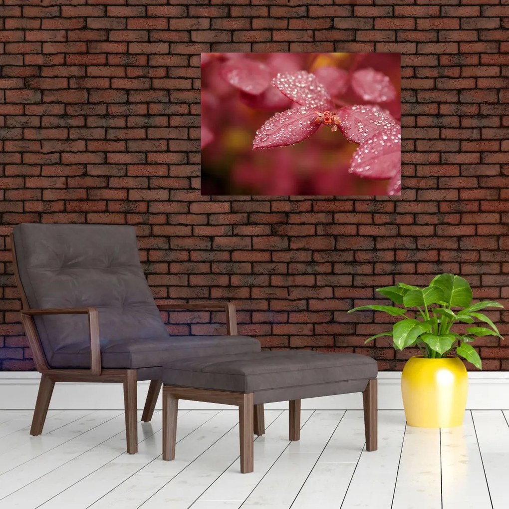 Obraz na szkle - Obraz biletu w trybie makro (70x50 cm)