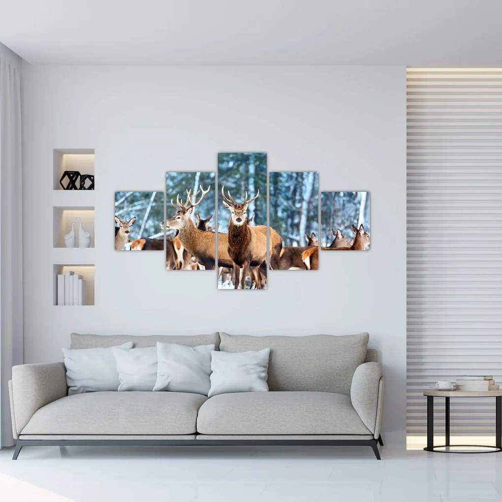 Obraz - Stado jeleni (125x70 cm)
