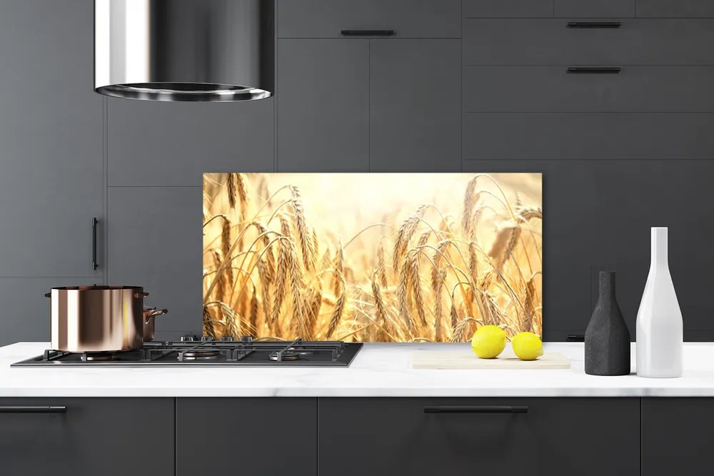 Panel Szklany Dojrzałe Kłosy Zboża