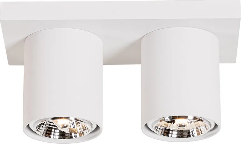 Nowoczesny plafon z reflektorami biały 2-światła - Tubo