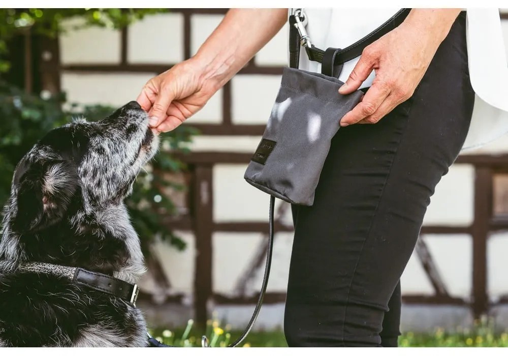 Torba na przysmaki Lupo Graphite – MiaCara