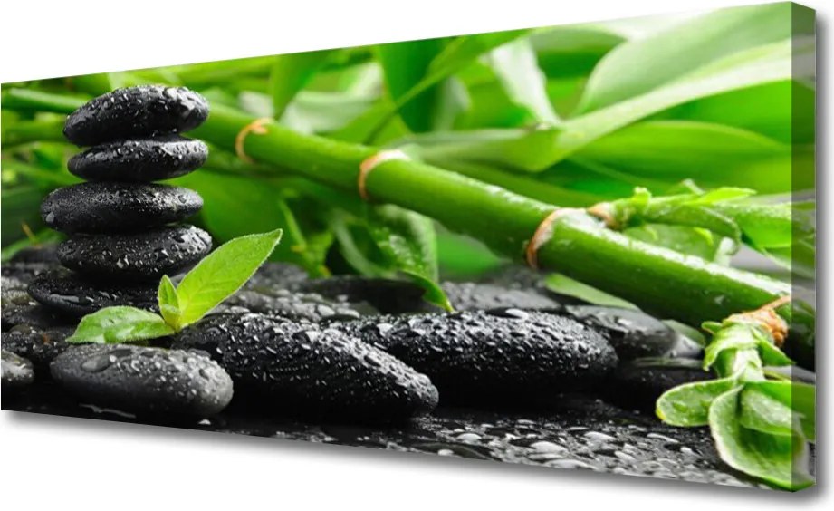 Fotoobraz na płótnie Zielona Świeżość Bambusa