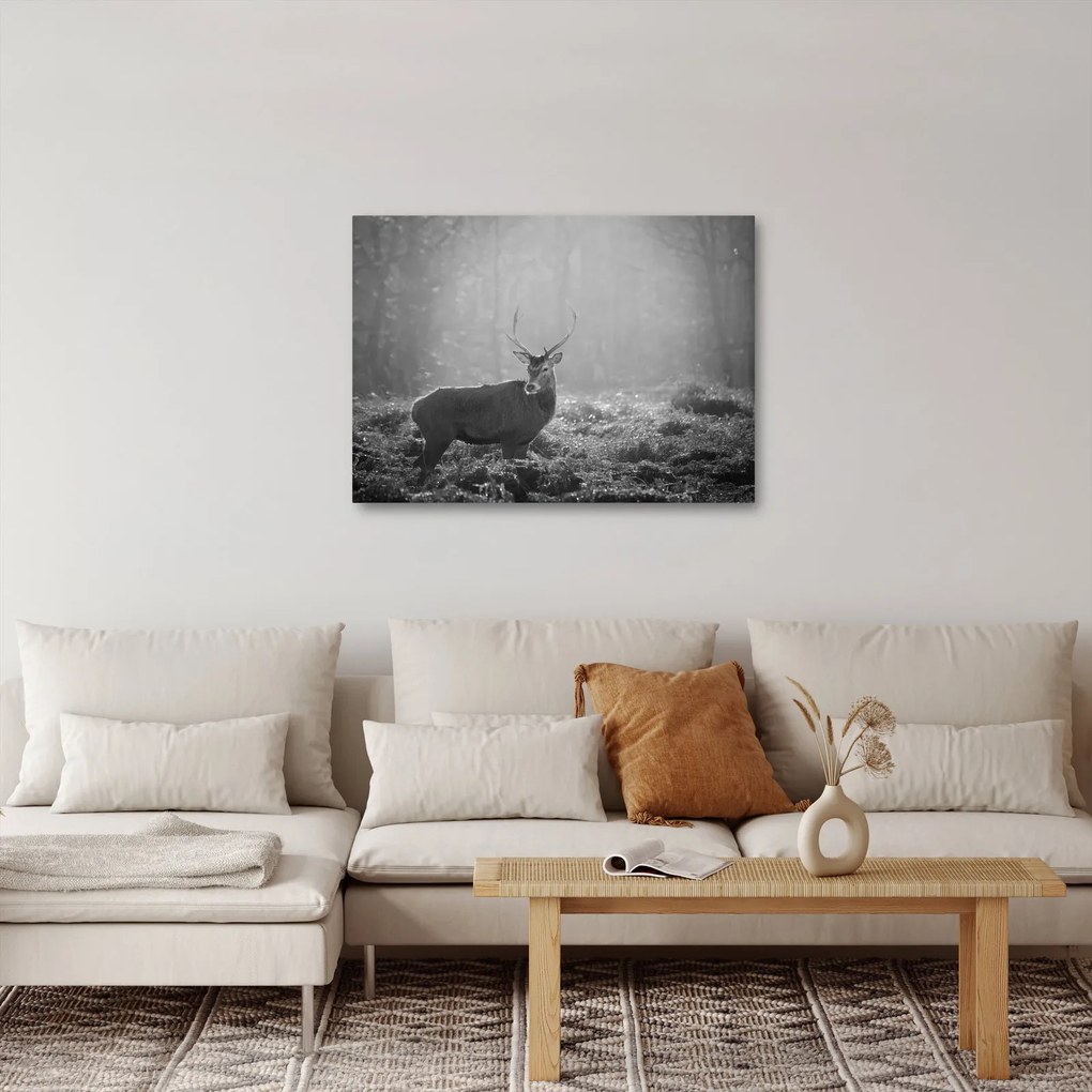 Obraz - Jeleń w lesie, czarno - biały (70x50 cm)