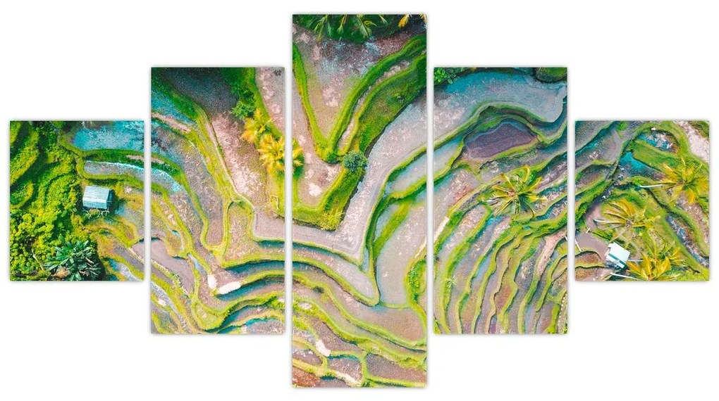 Obraz pól ryżowych z lotu ptaka (125x70 cm)