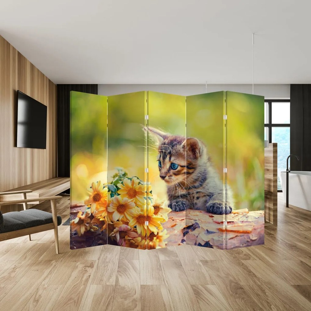 Parawan - Kotek patrzący na kwiat (210x170 cm)