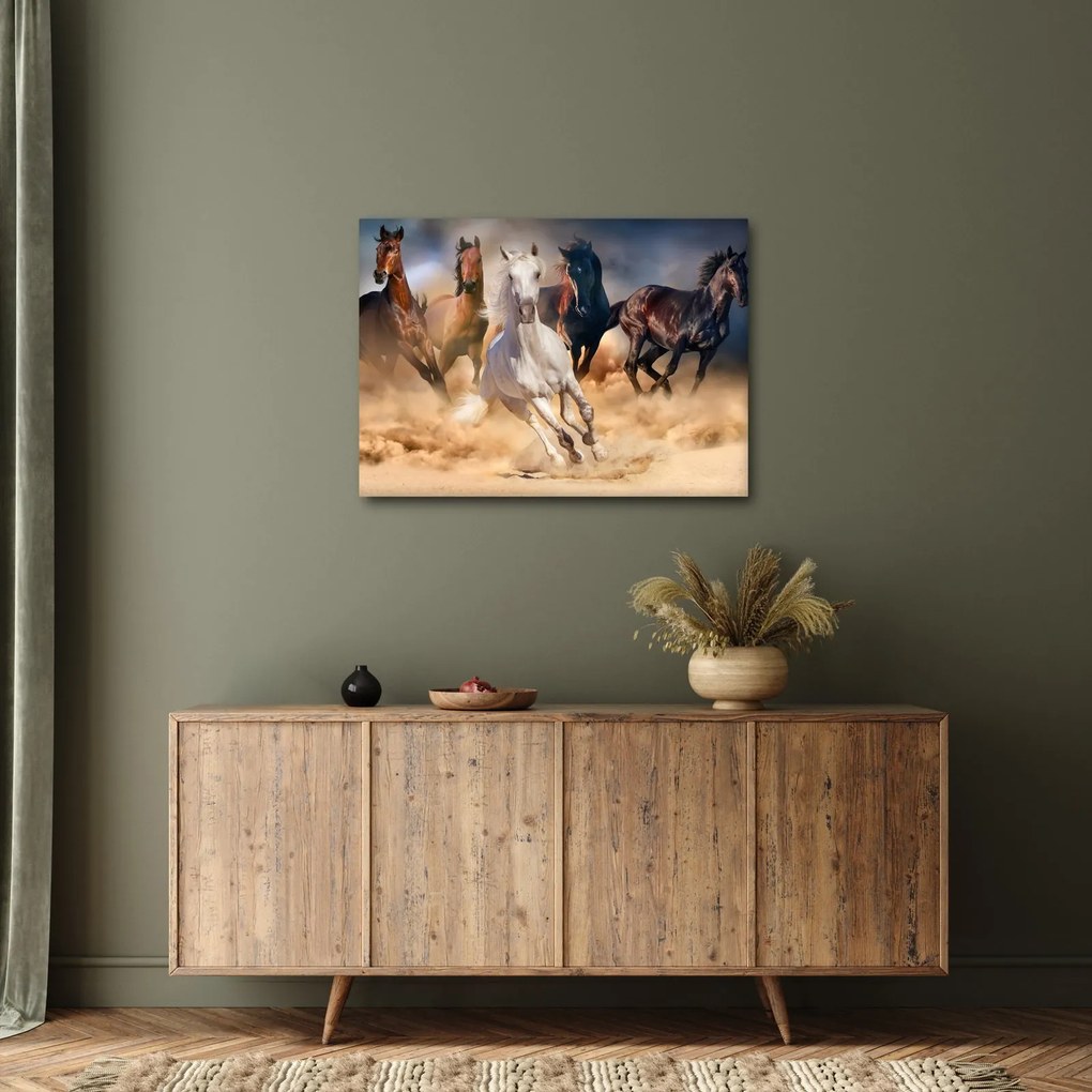 Obraz - Konie na pustyni (70x50 cm)