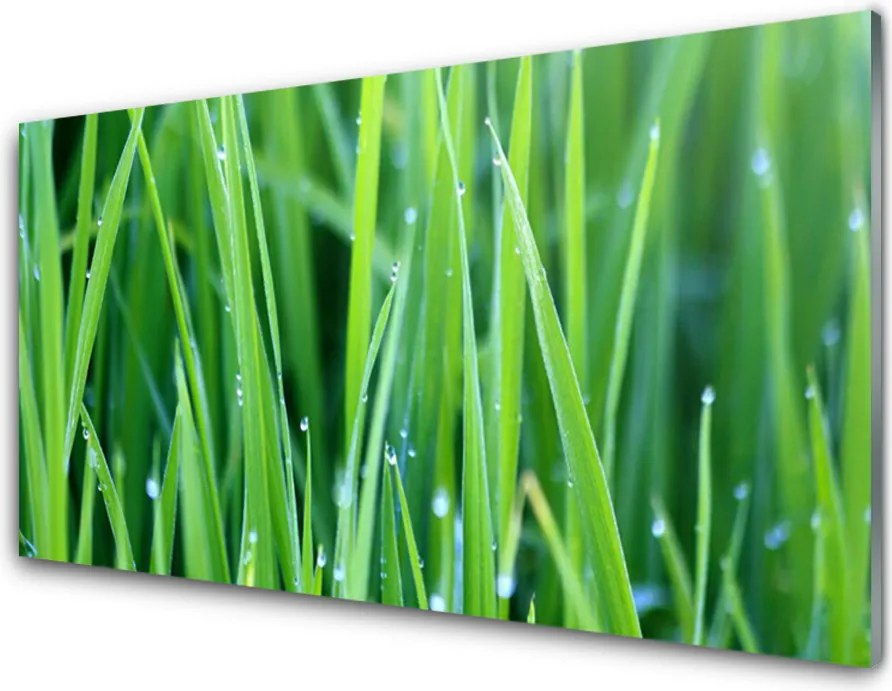 Panel nad blat kuchenny Poranna Świeżość Trawy