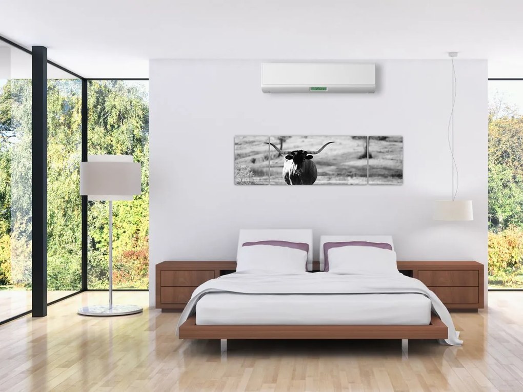 Obraz - Krowa, czarno - biała (170x50 cm)
