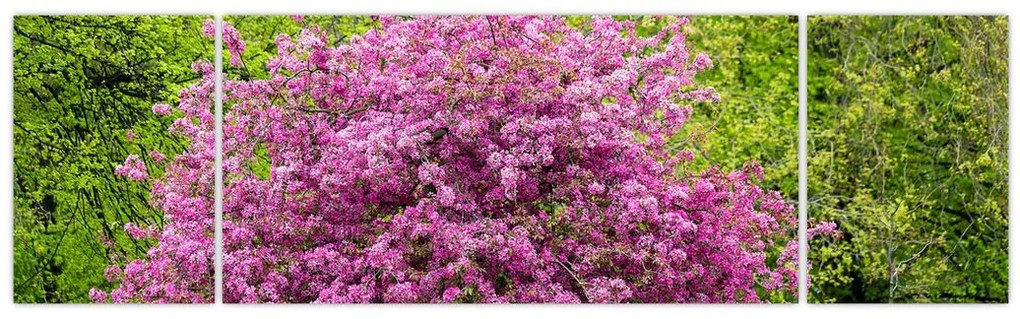 Obraz kwitnącego drzewa na łące (170x50 cm)