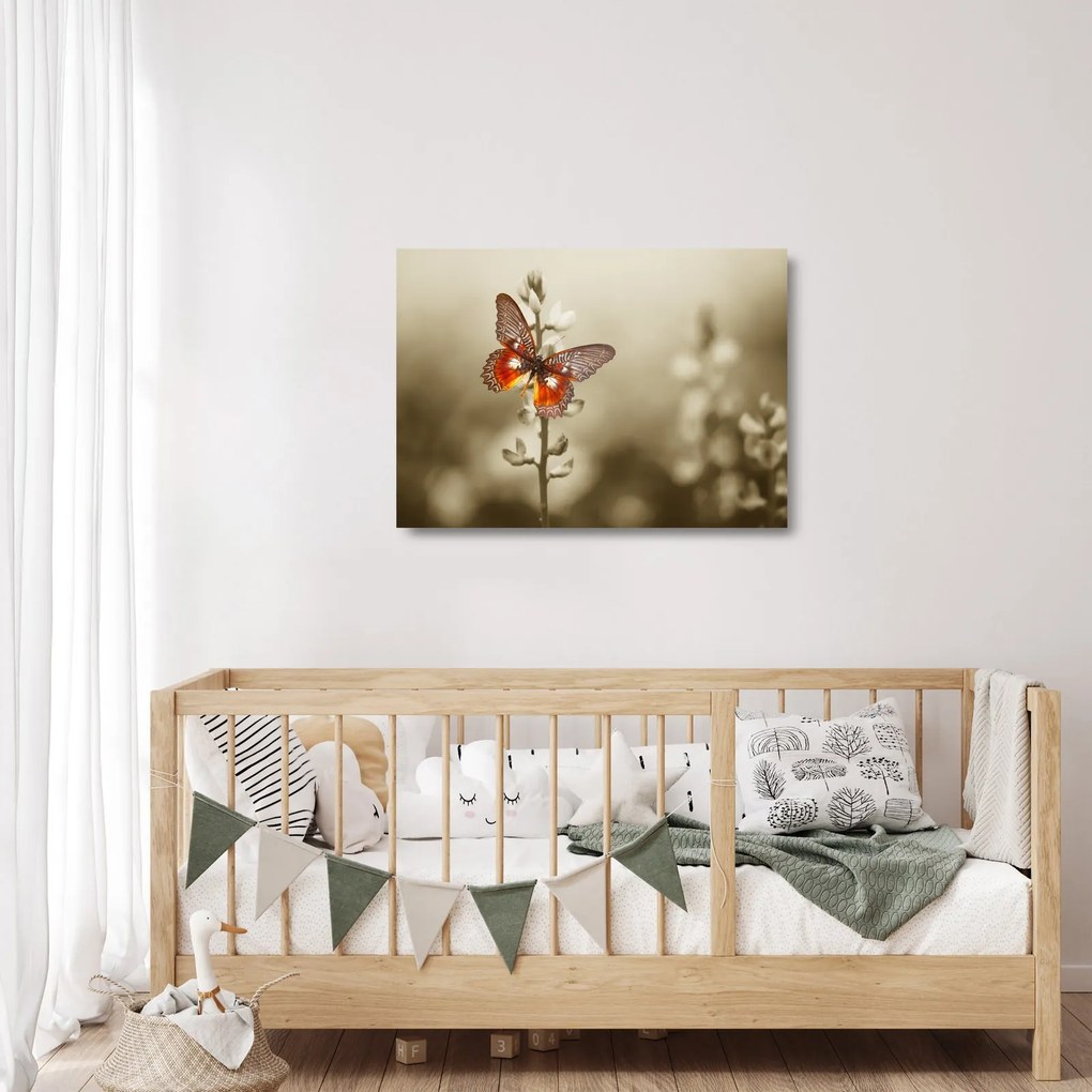 Obraz na szkle motyla (70x50 cm)