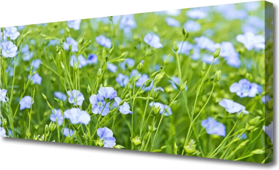 Fotoobraz na płótnie Kwiaty w Polnej Trawie