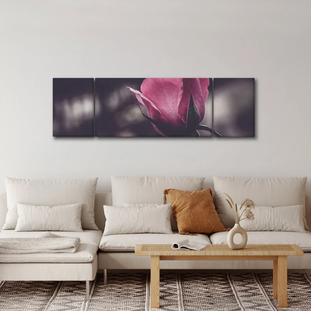 Obraz - Detal kwiatu róży (170x50 cm)