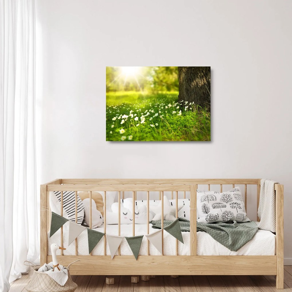Obraz na szkle - polana i kwiaty (70x50 cm)