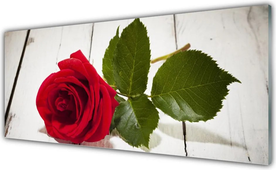 Panel Szklany Klasyczna Czerwona Róża