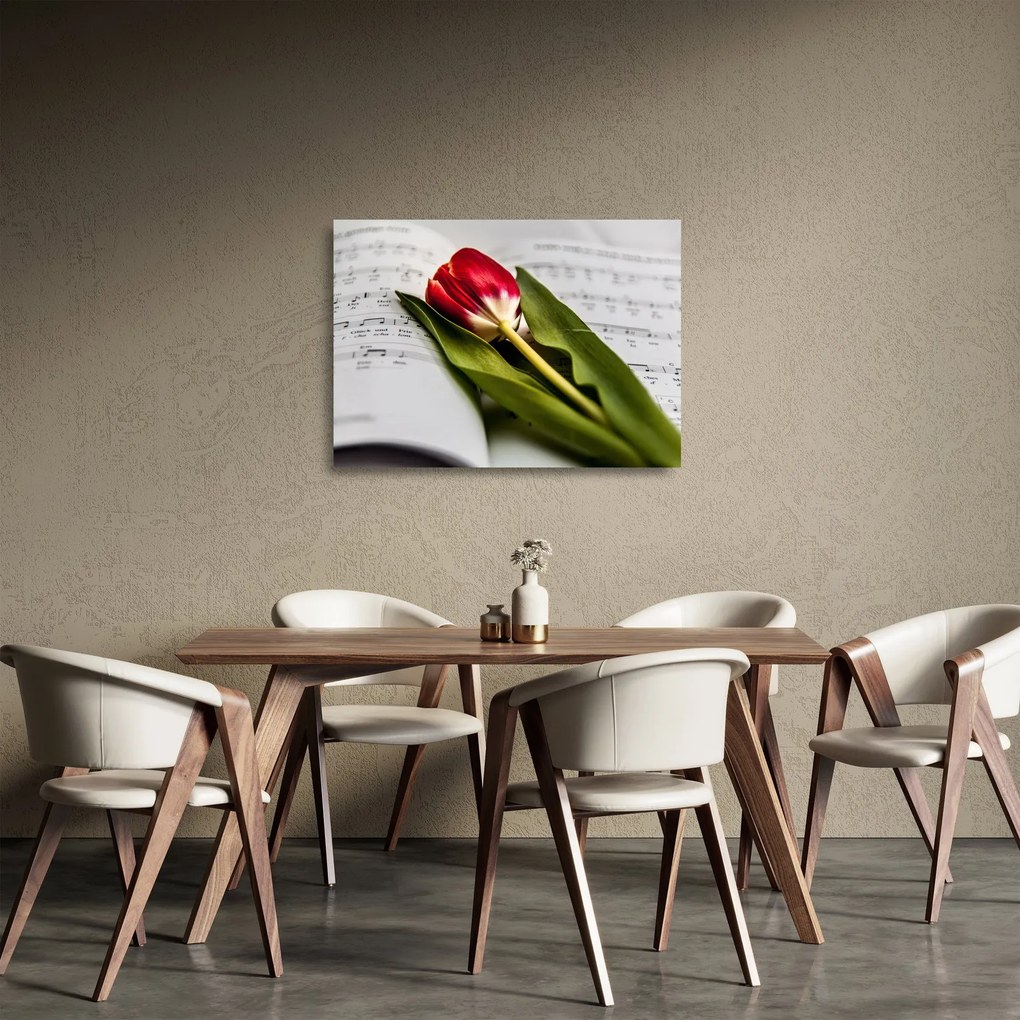 Obraz na szkle czerwonego tulipana (70x50 cm)